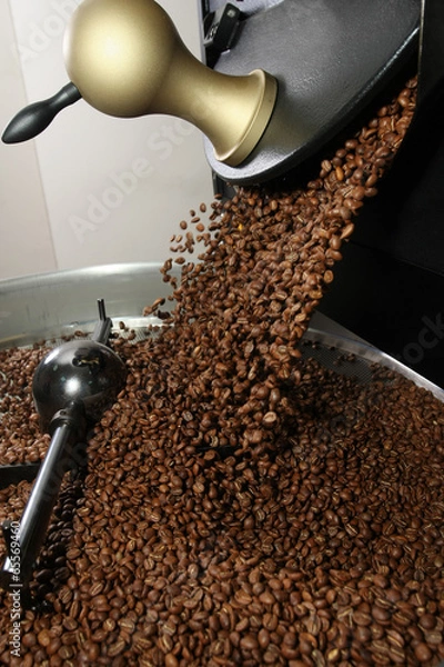 Obraz Freshly roasted coffee beans