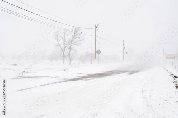 Obraz winter blizzard