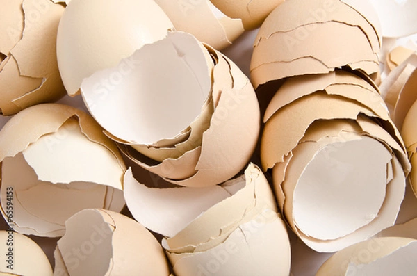 Obraz skorupka jajka