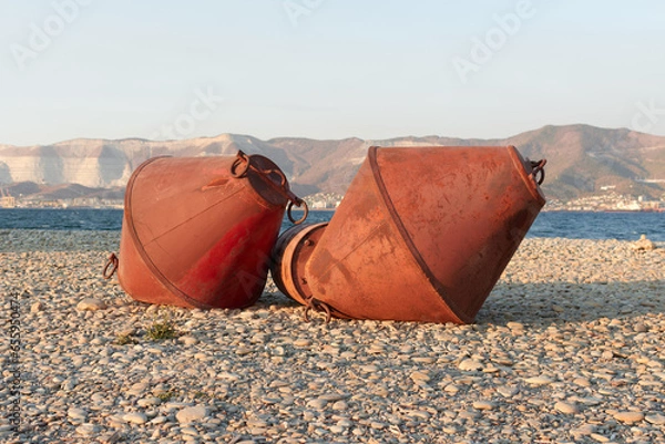 Obraz navigation buoy on the seashore