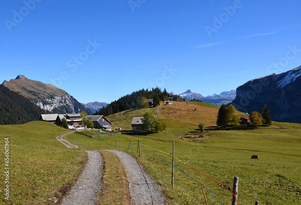 Fototapeta Auf der Alp Gitschenen im Grosstal (Isenthal), Kanton Uri