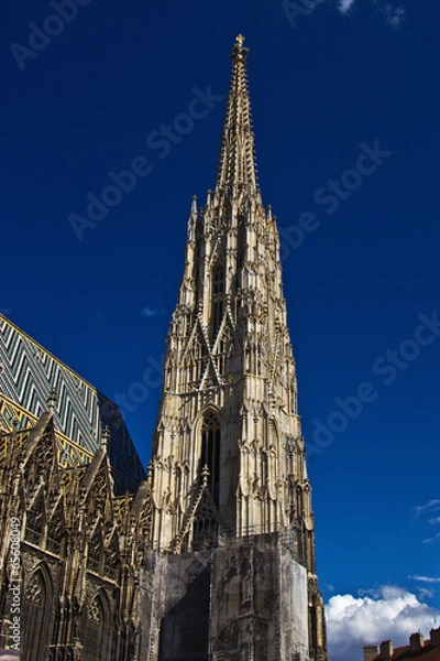Fototapeta Wiener Stephansdom 2