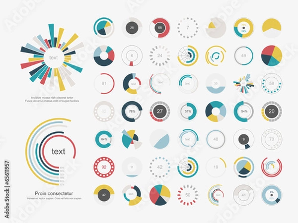 Obraz Infographic Elements.Pie chart set icon.