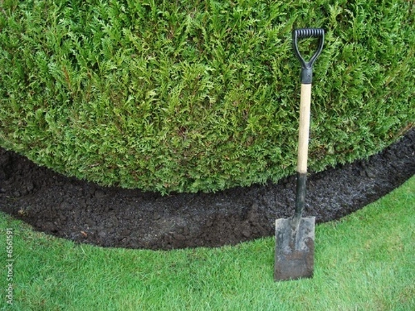 Fototapeta gardening