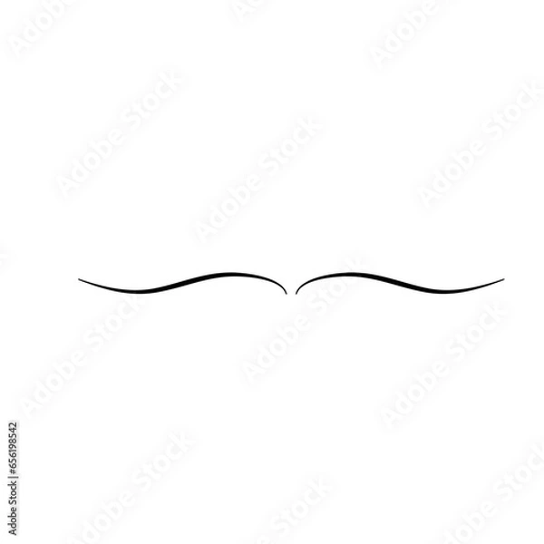 Fototapeta Swirl line text divider