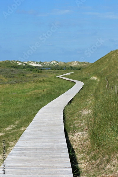 Obraz Weg in den Dünen