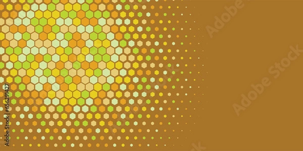 Fototapeta Geometric abstract Hexagon Two Color Background