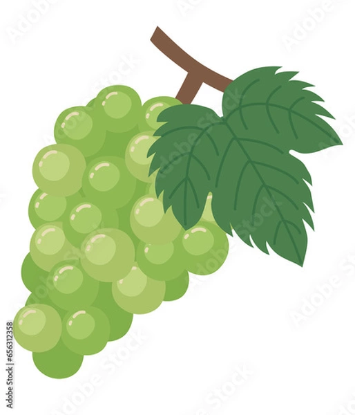 Obraz シンプルなマスカットのイラスト