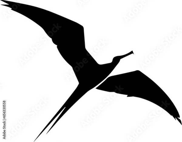 Obraz Frigatebird icon 6
