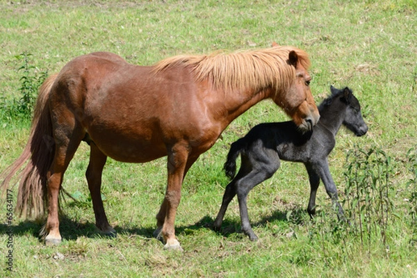 Fototapeta Ein Tag alt, q.