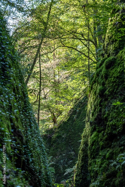 Obraz Drachenschlucht