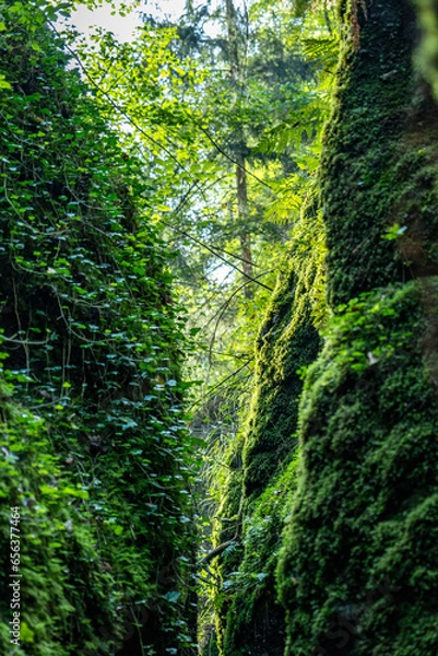 Obraz Drachenschlucht