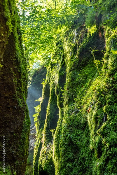 Obraz Drachenschlucht