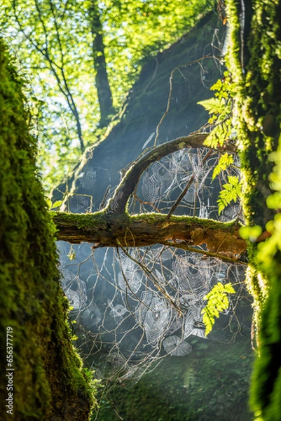 Obraz Drachenschlucht