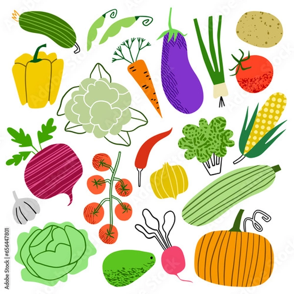 Fototapeta Vegetables hand drawn doodle vector icon set 