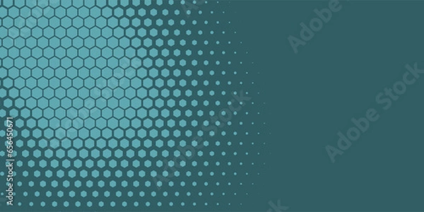 Fototapeta Geometric abstract Hexagon Two Color Background