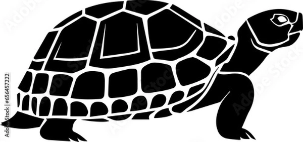 Obraz Gopher Tortoise icon 6