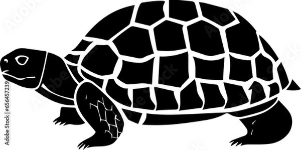 Obraz Gopher Tortoise icon 2