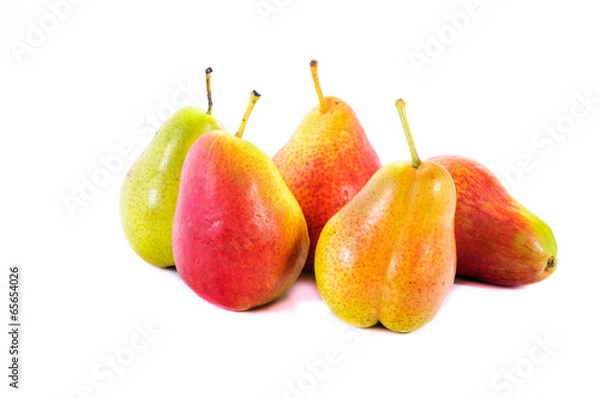 Fototapeta Corella pear