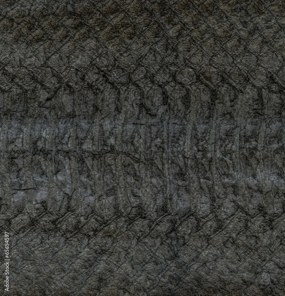 Fototapeta natural lizard skin closeup