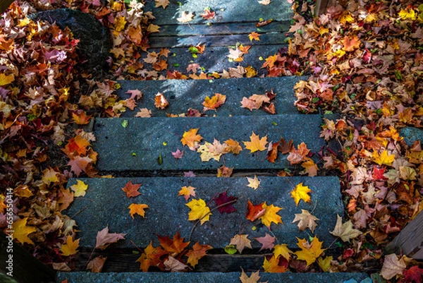 Obraz Dancing leaves in October