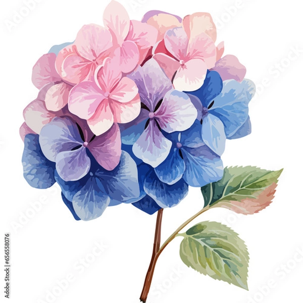 Obraz flower isolated on white background