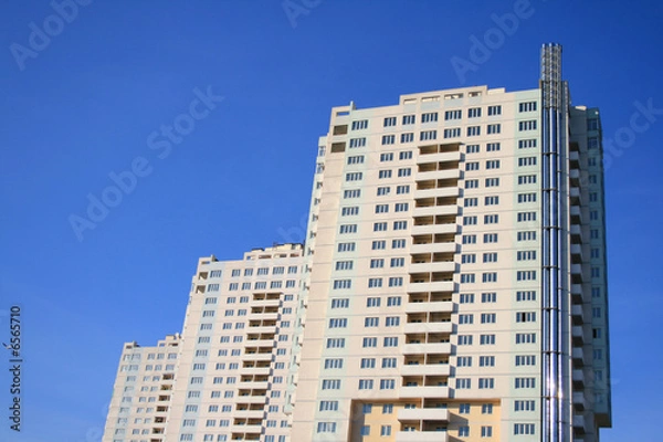 Fototapeta flight of a bird