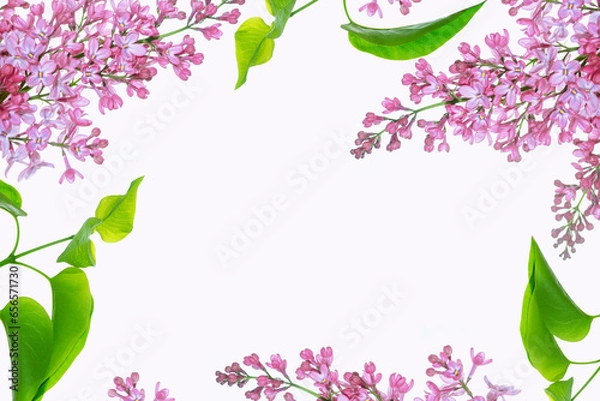 Fototapeta spring flowers lilac isolated on white background.