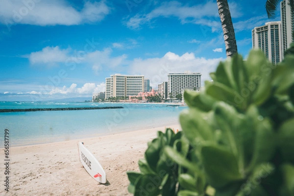 Obraz Waikiki Beach