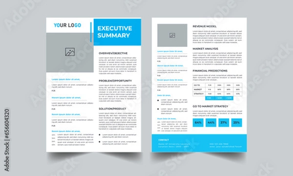 Obraz Executive Summary