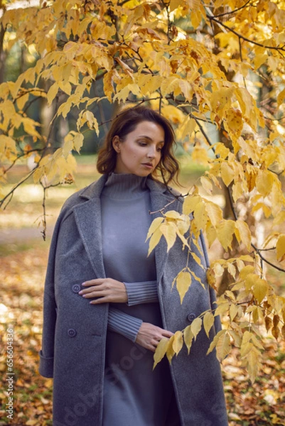 Obraz brunette woman in a gray coat and boots is standing by a tree in autumn among the trees. Orange foliage during the day