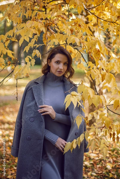 Obraz brunette woman in a gray coat and boots is standing by a tree in autumn among the trees. Orange foliage during the day