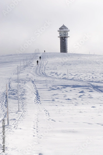 Fototapeta landscape with snow