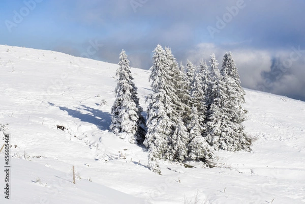 Fototapeta snow covered mountains