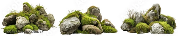 Fototapeta Large rocks with overgrown foliage and moss, plants and foliage around, green nature, isolated on transparent background generative ai