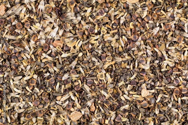 Fototapeta Wildflower seeds background