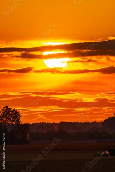 Fototapeta Beautiful cloudy red sunset with gigantic sun over big fields and trees seen by 600mm camera lens