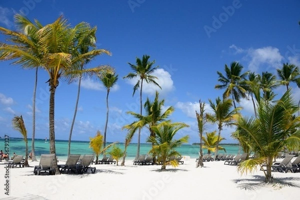 Obraz Palm Tree Paradise