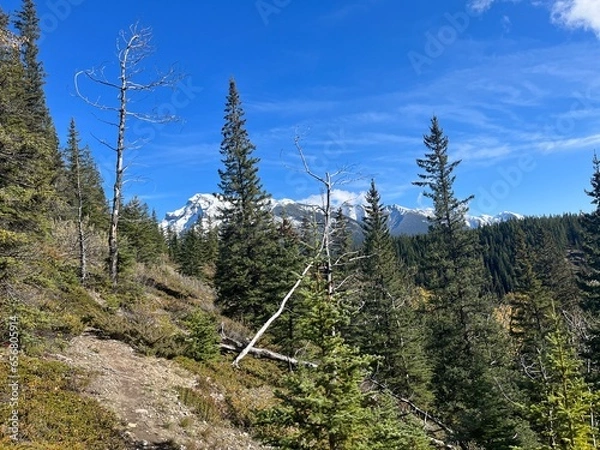 Obraz Cascade Mountain creek in Banff 