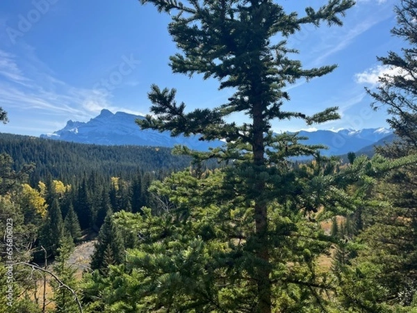 Obraz Cascade Mountain creek in Banff 