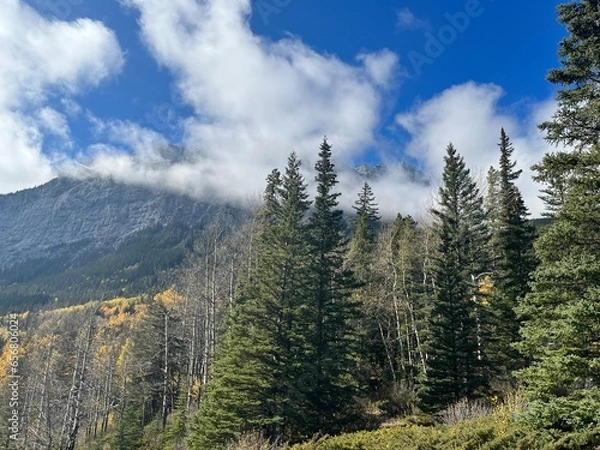 Obraz Cascade Mountain creek in Banff 