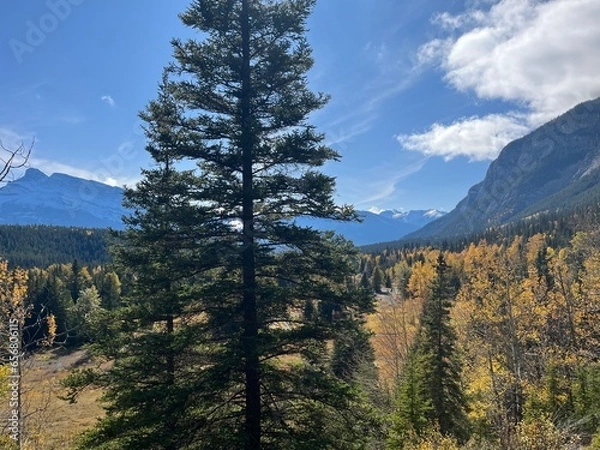 Obraz Cascade Mountain creek in Banff 