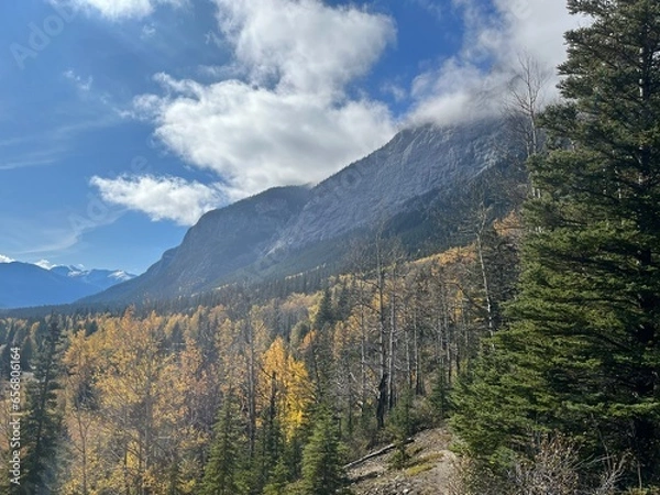 Obraz Cascade Mountain creek in Banff 