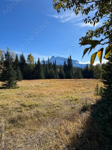 Obraz Cascade Mountain creek in Banff 