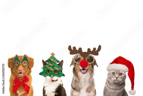 Obraz Portraits of  dogs and cats in a row wearing  christmas decoration with space for copy
