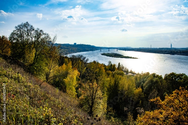 Obraz lake and forest