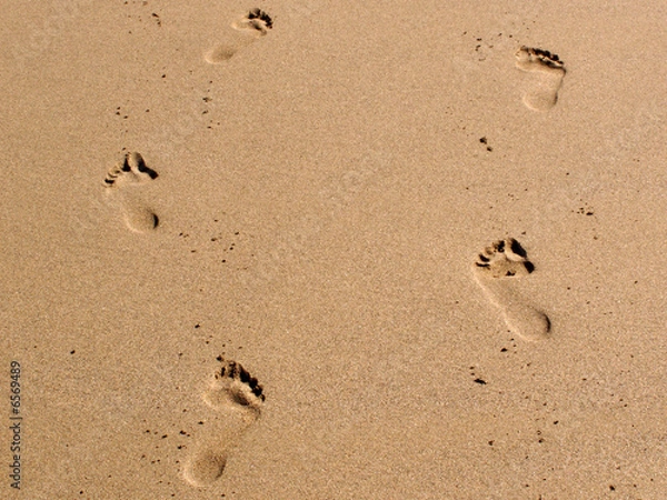 Obraz  spuren im sand