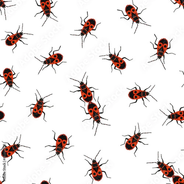 Obraz Seamless pattern with bug-soldier or Firebugs isolating on white background. Vector illustration