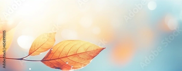 Obraz autumn leaf background, in the style of lens flare, shaped canvas, soft focus lens, light sky-blue and orange, slide film, soft-focus