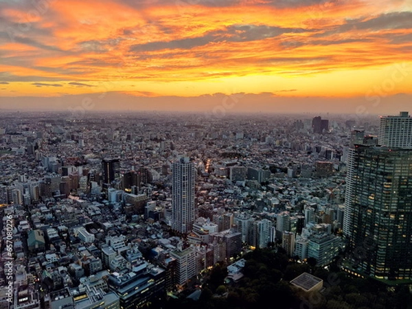 Fototapeta 東京の夕焼け景色